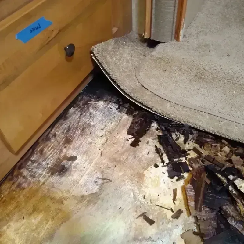 Wood Floor Water Damage in Lesslie, SC